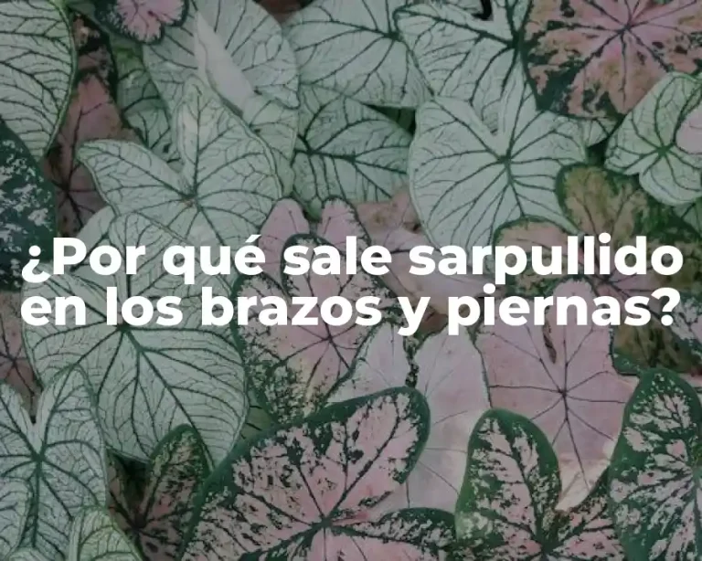 ¿Por qué sale sarpullido en los brazos y piernas?
