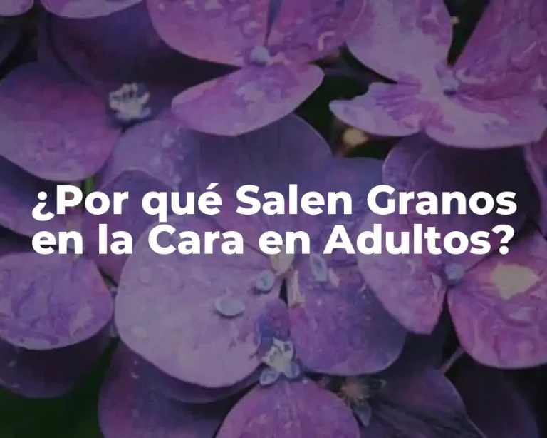 ¿Por qué Salen Granos en la Cara en Adultos?