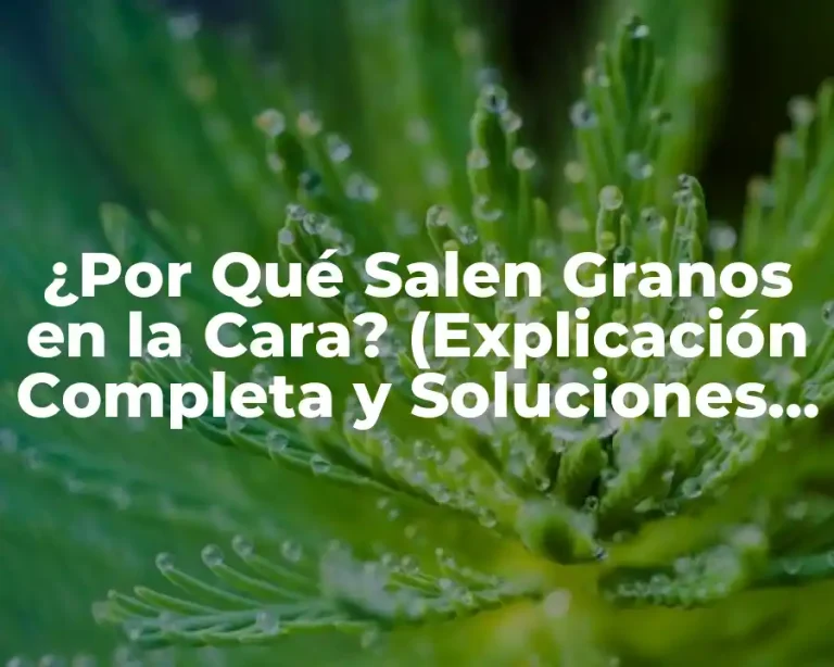 ¿Por Qué Salen Granos en la Cara? (Explicación Completa y Soluciones Efectivas)