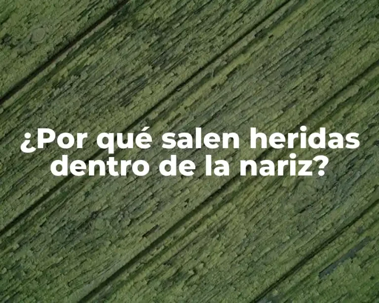 ¿Por qué salen heridas dentro de la nariz?
