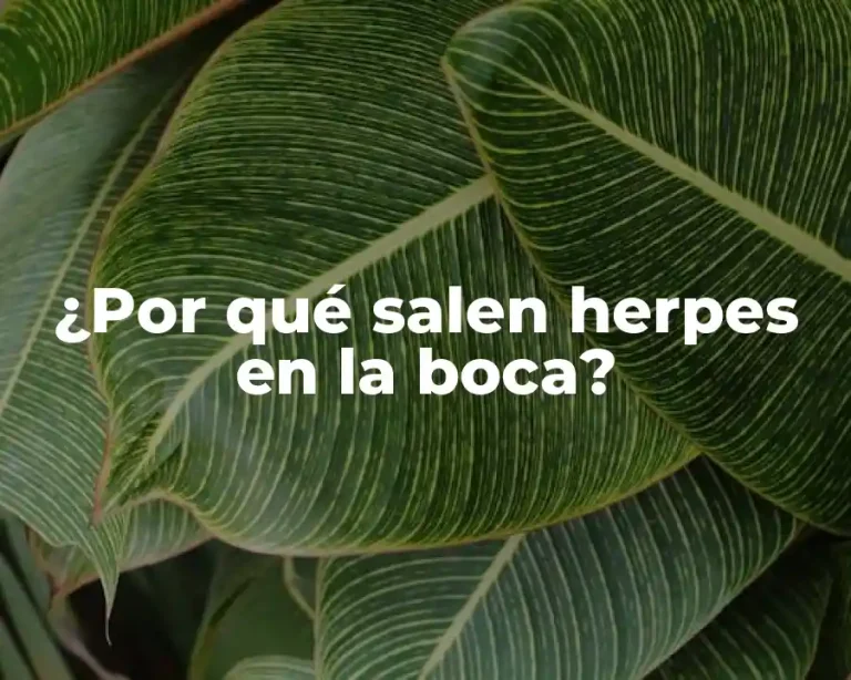 ¿Por qué salen herpes en la boca?