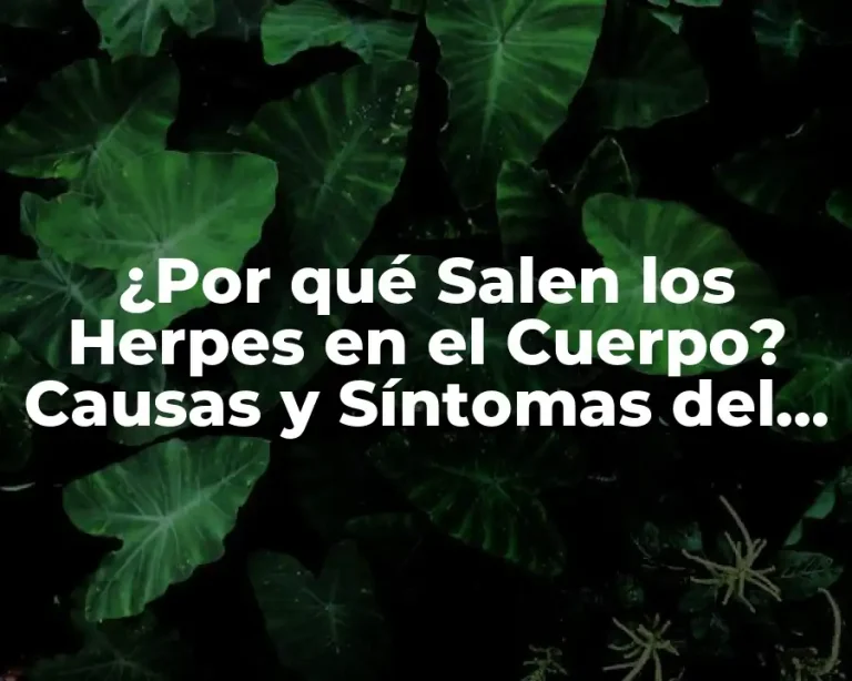 ¿Por qué Salen los Herpes en el Cuerpo? Causas y Síntomas del Virus del Herpes