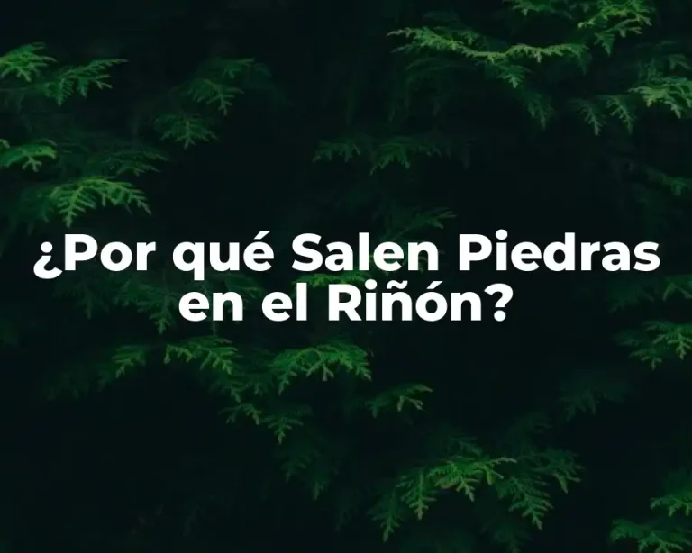 ¿Por qué Salen Piedras en el Riñón?