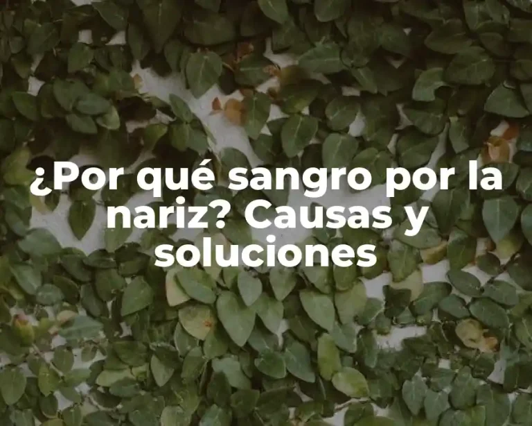 ¿Por qué sangro por la nariz? Causas y soluciones