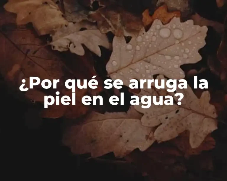 ¿Por qué se arruga la piel en el agua?