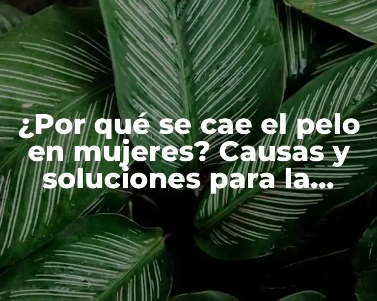¿Por qué se cae el pelo en mujeres? Causas y soluciones para la pérdida de cabello femenino