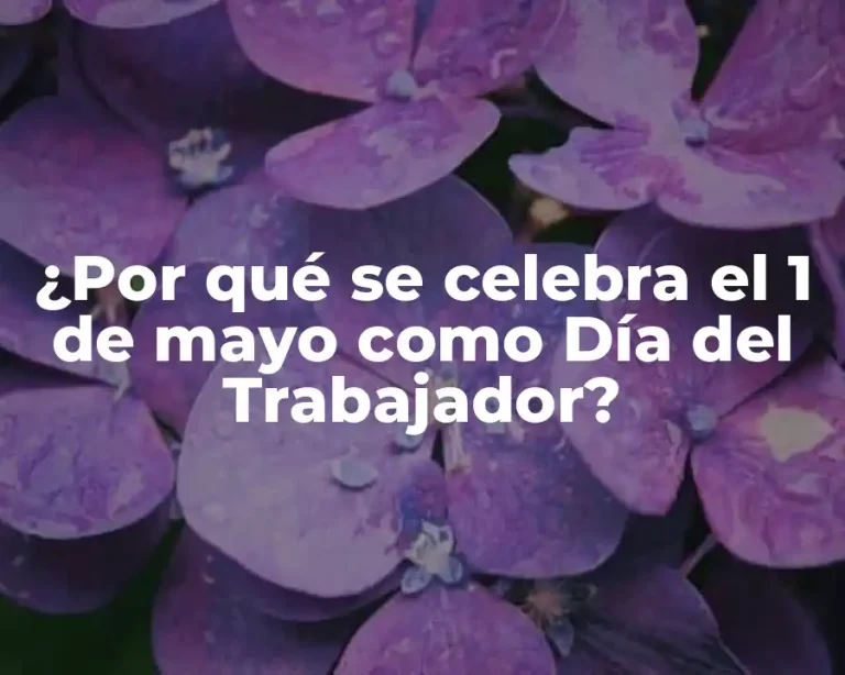 ¿Por qué se celebra el 1 de mayo como Día del Trabajador?