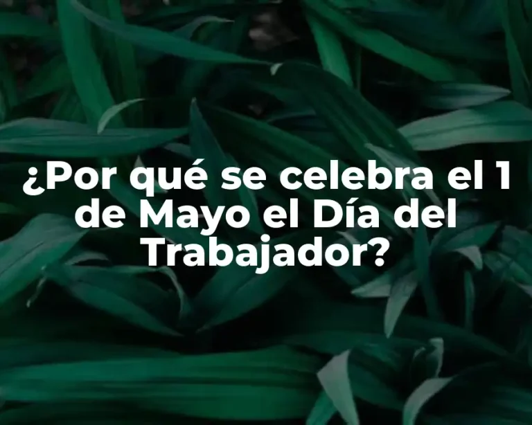 ¿Por qué se celebra el 1 de Mayo el Día del Trabajador?