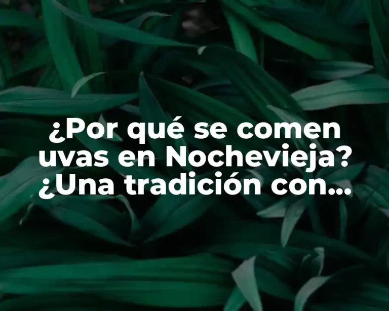 ¿Por qué se comen uvas en Nochevieja? ¿Una tradición con origen en España?