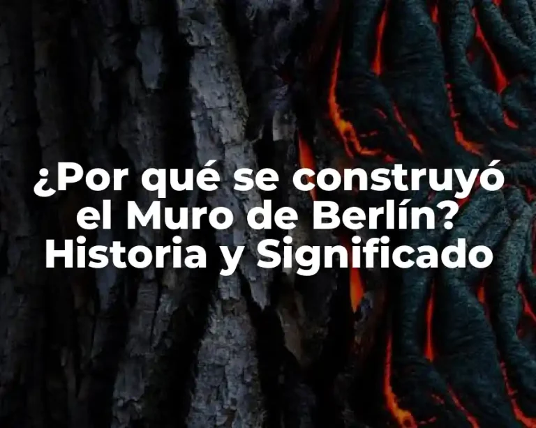 ¿Por qué se construyó el Muro de Berlín? Historia y Significado
