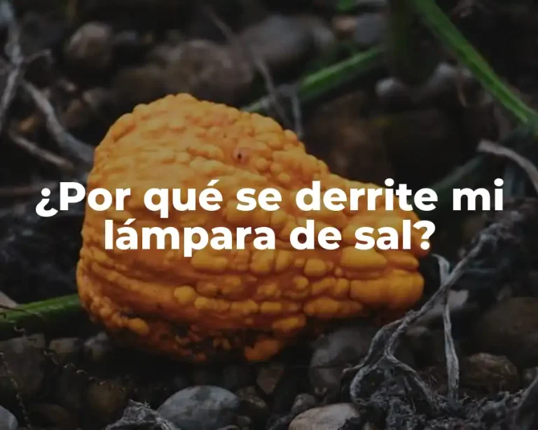 ¿Por qué se derrite mi lámpara de sal?