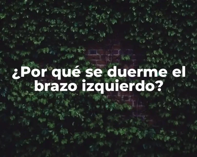 ¿Por qué se duerme el brazo izquierdo?