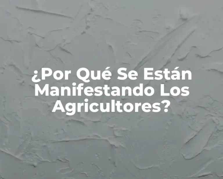 ¿Por Qué Se Están Manifestando Los Agricultores?