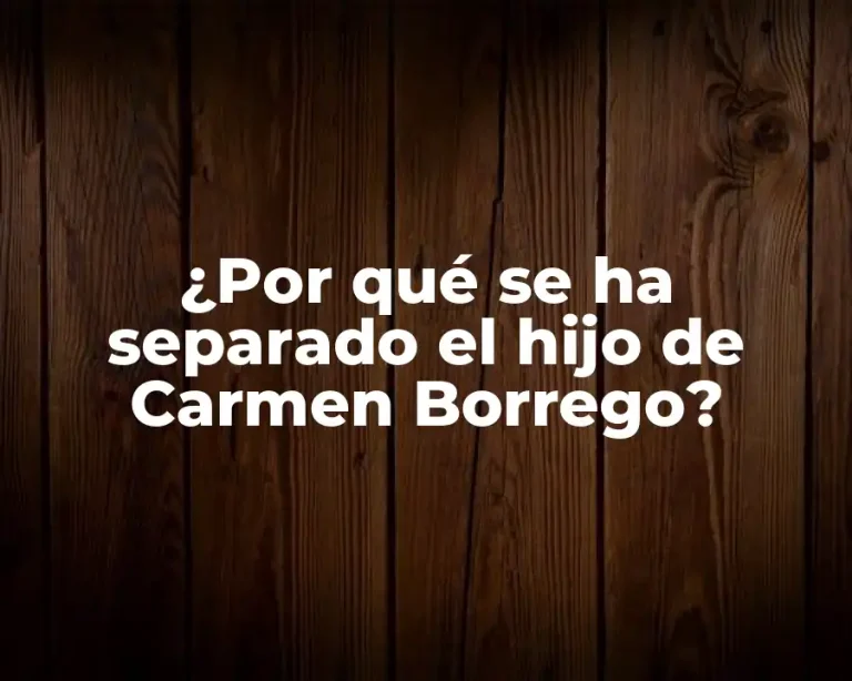 ¿Por qué se ha separado el hijo de Carmen Borrego?