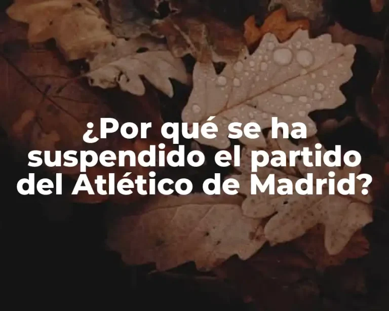 ¿Por qué se ha suspendido el partido del Atlético de Madrid?