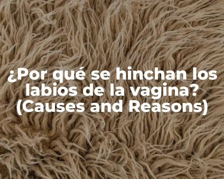 ¿Por qué se hinchan los labios de la vagina? (Causes and Reasons)