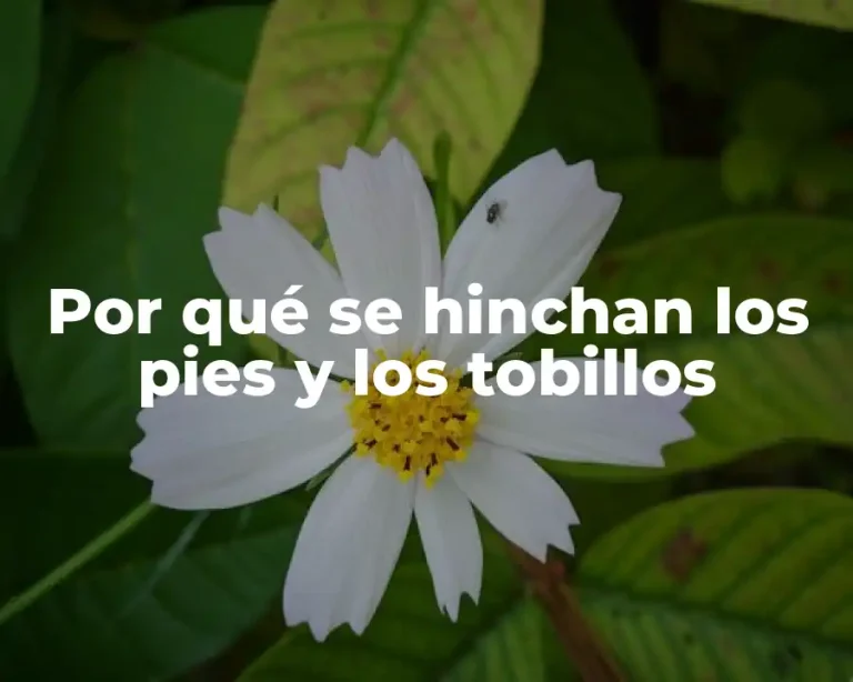 Por qué se hinchan los pies y los tobillos