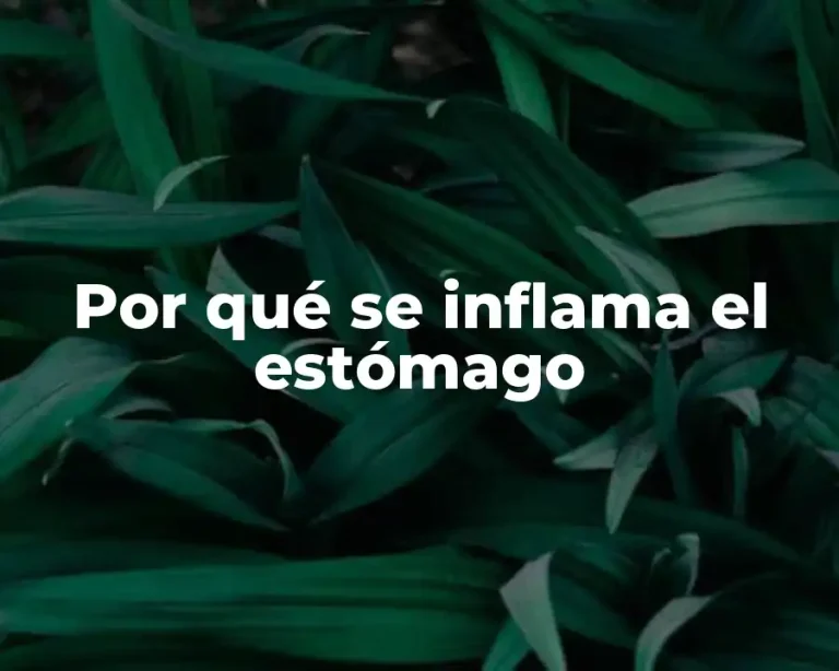 Por qué se inflama el estómago