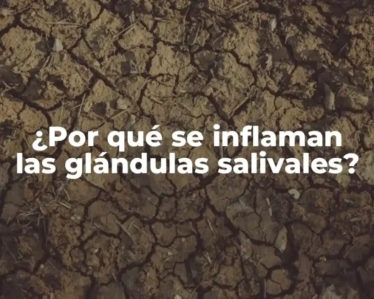 ¿Por qué se inflaman las glándulas salivales?