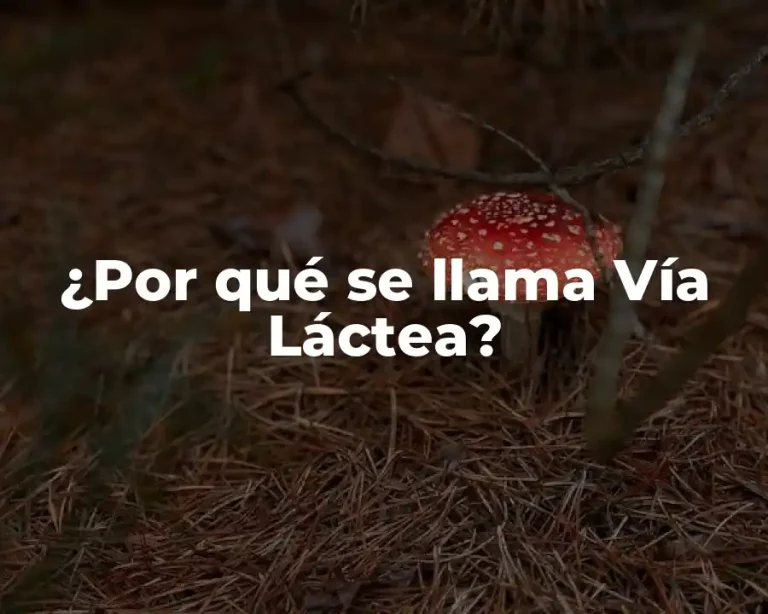 ¿Por qué se llama Vía Láctea?