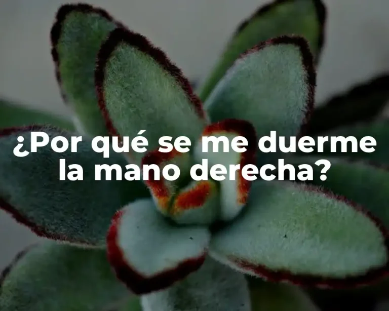 ¿Por qué se me duerme la mano derecha?