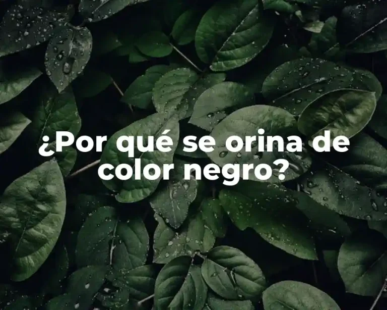 ¿Por qué se orina de color negro?