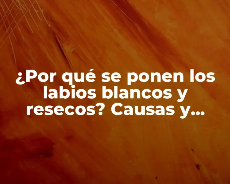 ¿Por qué se ponen los labios blancos y resecos? Causas y soluciones para labios saludables
