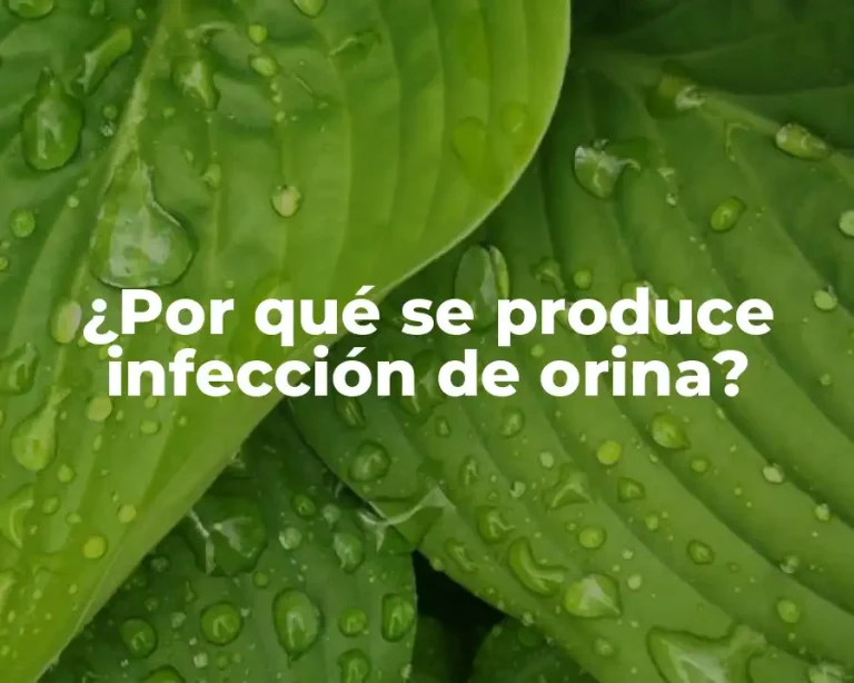 ¿Por qué se produce infección de orina?