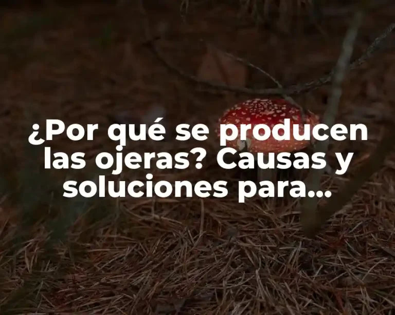 ¿Por qué se producen las ojeras? Causas y soluciones para eliminarlas