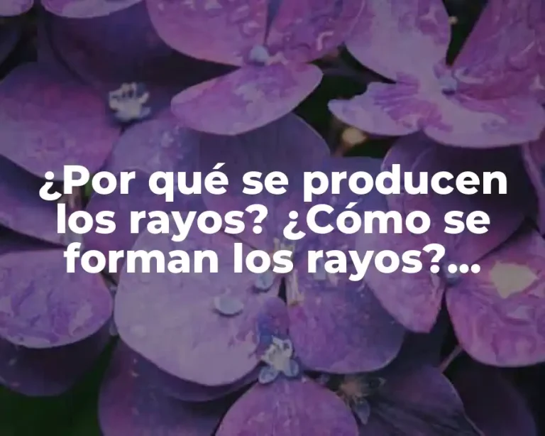 ¿Por qué se producen los rayos? ¿Cómo se forman los rayos? Análisis detallado