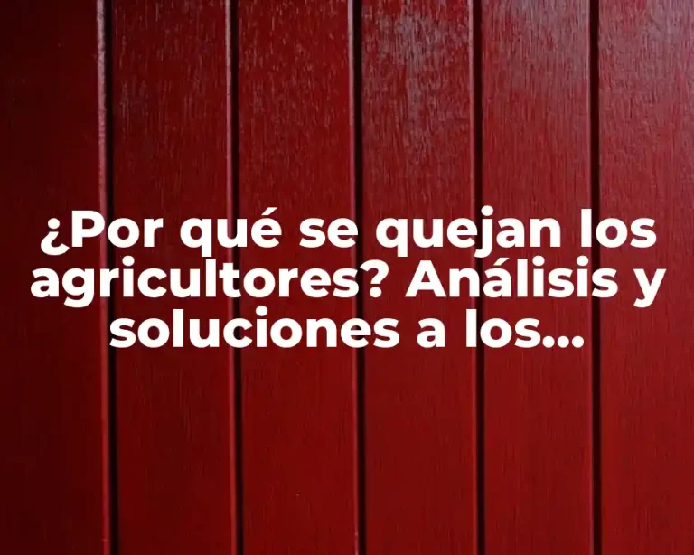 ¿Por qué se quejan los agricultores? Análisis y soluciones a los problemas del sector agrícola