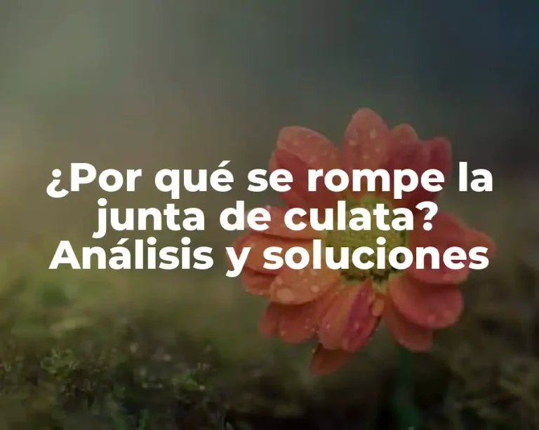 ¿Por qué se rompe la junta de culata? Análisis y soluciones