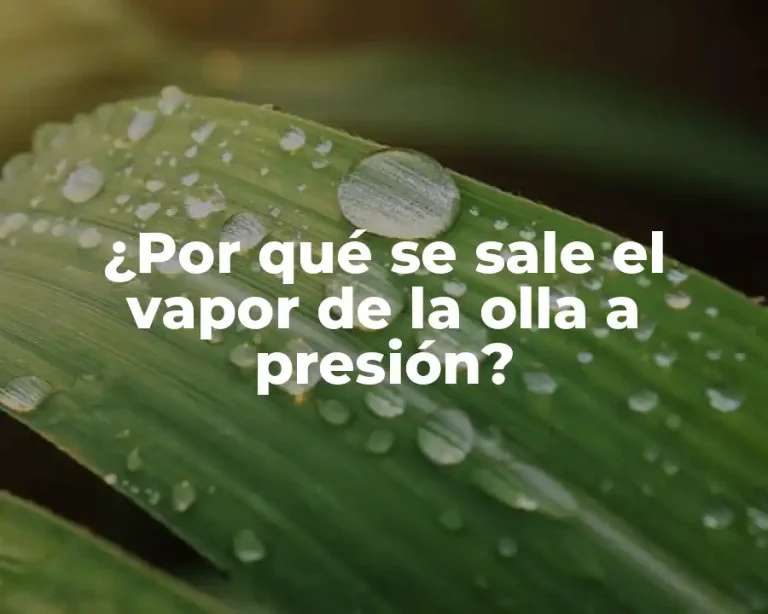 ¿Por qué se sale el vapor de la olla a presión?
