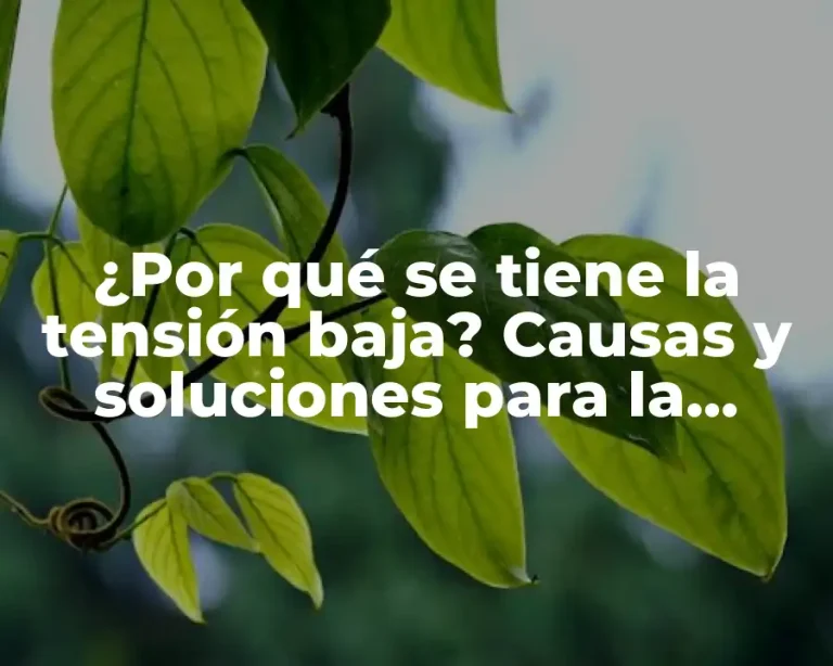 ¿Por qué se tiene la tensión baja? Causas y soluciones para la hipotensión