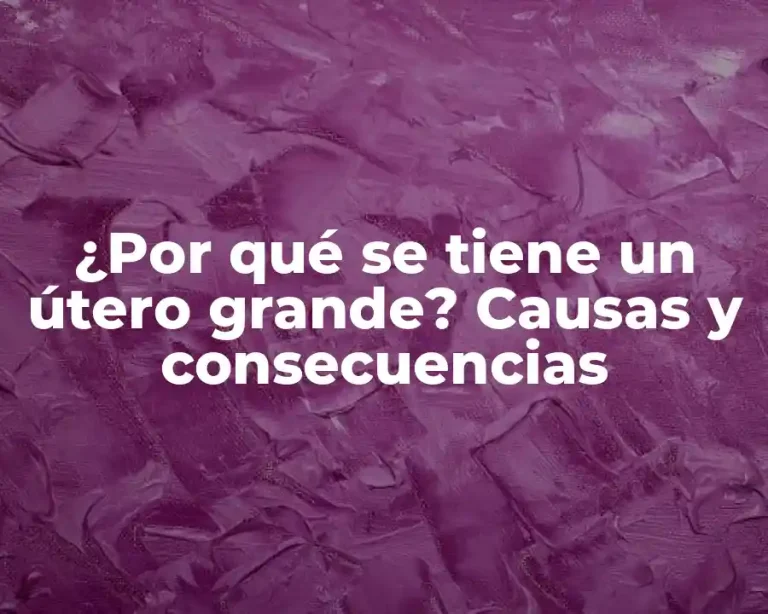 ¿Por qué se tiene un útero grande? Causas y consecuencias