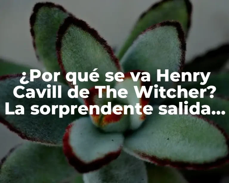 ¿Por qué se va Henry Cavill de The Witcher? La sorprendente salida del actor de la serie de Netflix