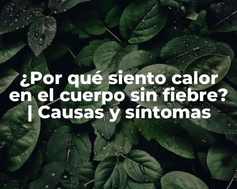¿Por qué siento calor en el cuerpo sin fiebre? | Causas y síntomas