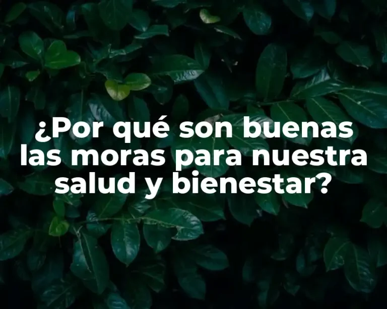 ¿Por qué son buenas las moras para nuestra salud y bienestar?