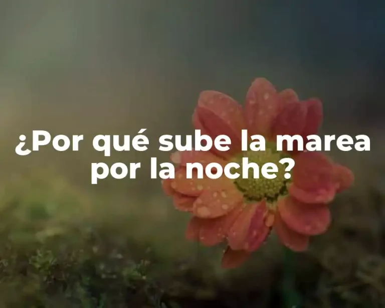 ¿Por qué sube la marea por la noche?