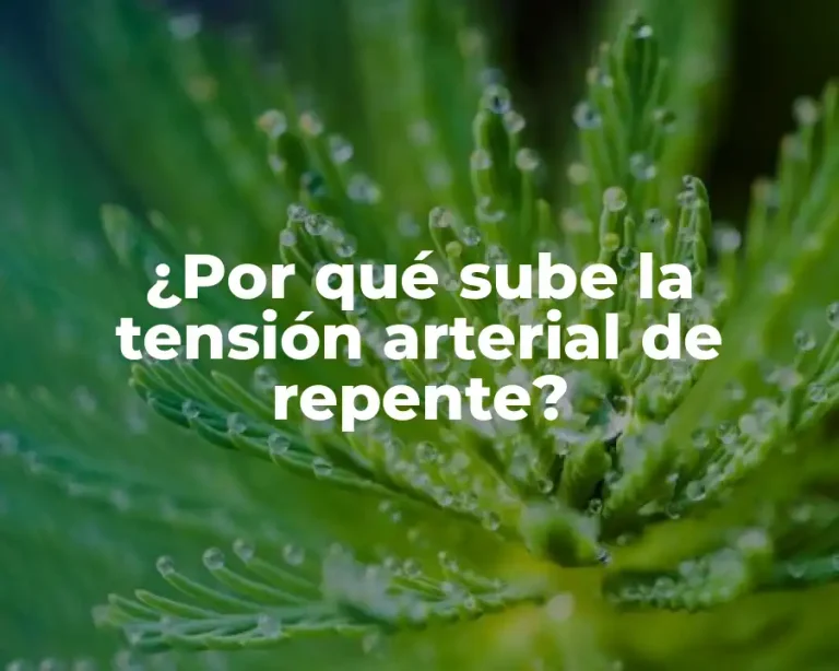 ¿Por qué sube la tensión arterial de repente?