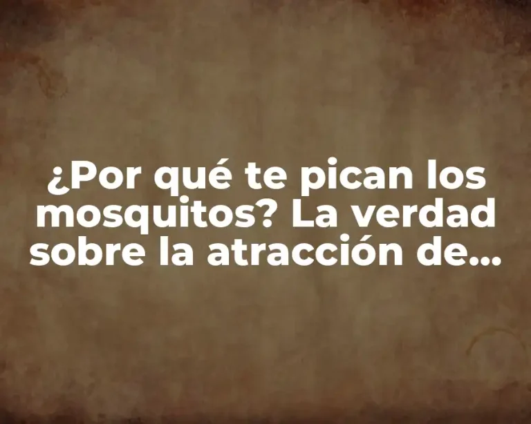 ¿Por qué te pican los mosquitos? La verdad sobre la atracción de los mosquitos