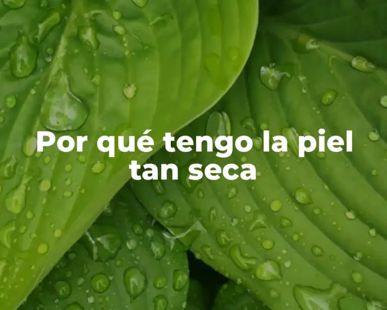Por qué tengo la piel tan seca