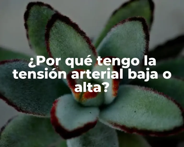 ¿Por qué tengo la tensión arterial baja o alta?