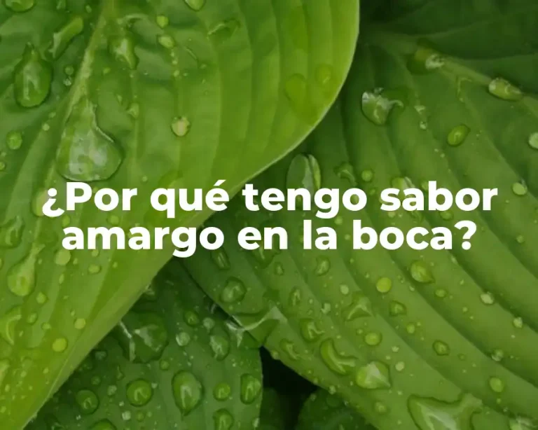 ¿Por qué tengo sabor amargo en la boca?