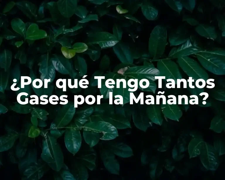 ¿Por qué Tengo Tantos Gases por la Mañana?