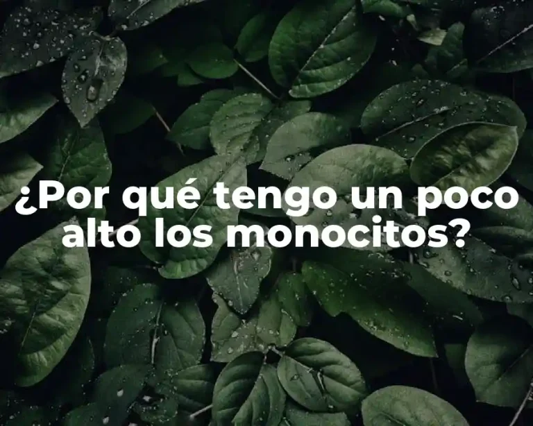 ¿Por qué tengo un poco alto los monocitos?
