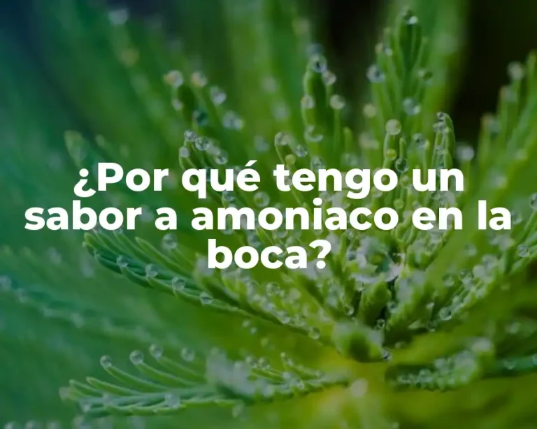 ¿Por qué tengo un sabor a amoniaco en la boca?