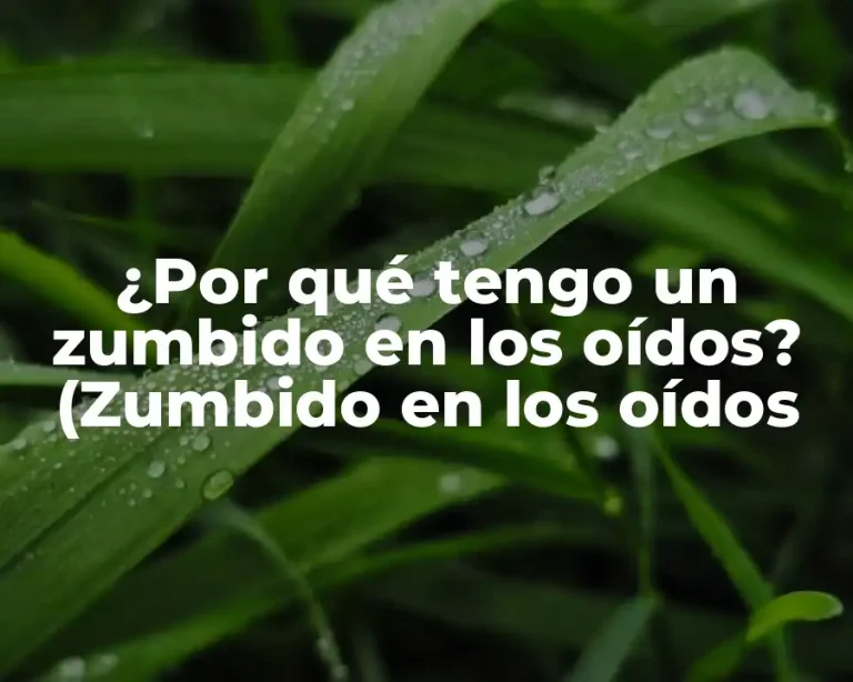 ¿Por qué tengo un zumbido en los oídos? (Zumbido en los oídos