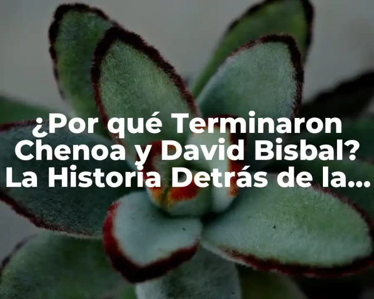 ¿Por qué Terminaron Chenoa y David Bisbal? La Historia Detrás de la Separación
