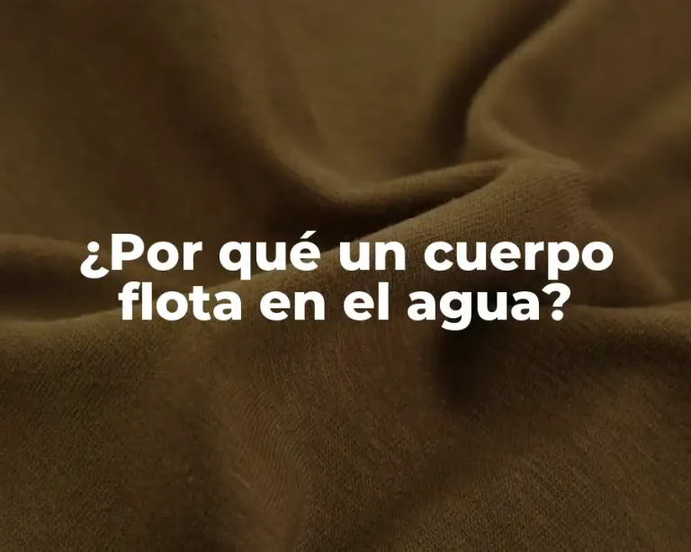 ¿Por qué un cuerpo flota en el agua?